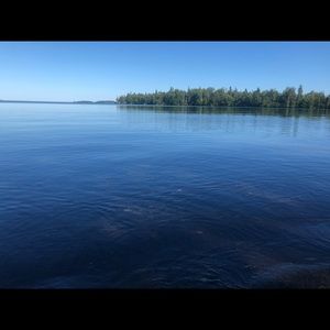 Meet your Posher, Dayna